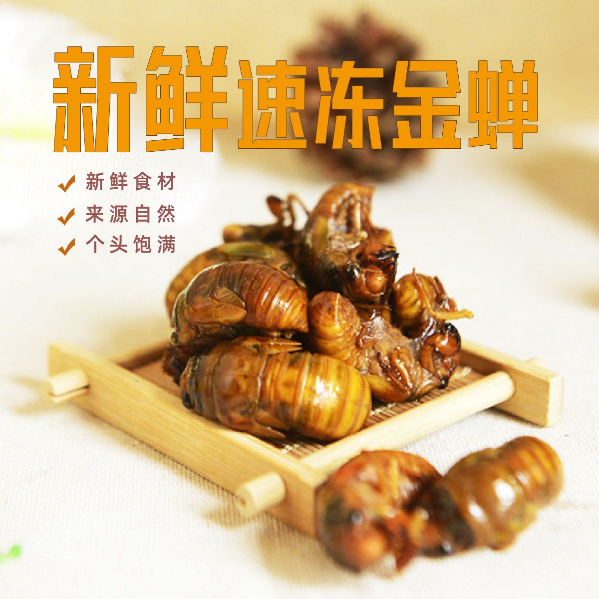 新鲜速冻金蝉 Cicada